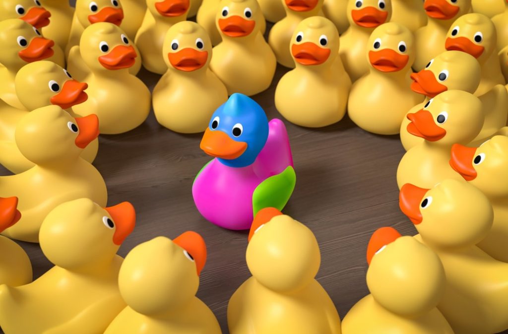 rubber ducks all facing a multi-coloured duck