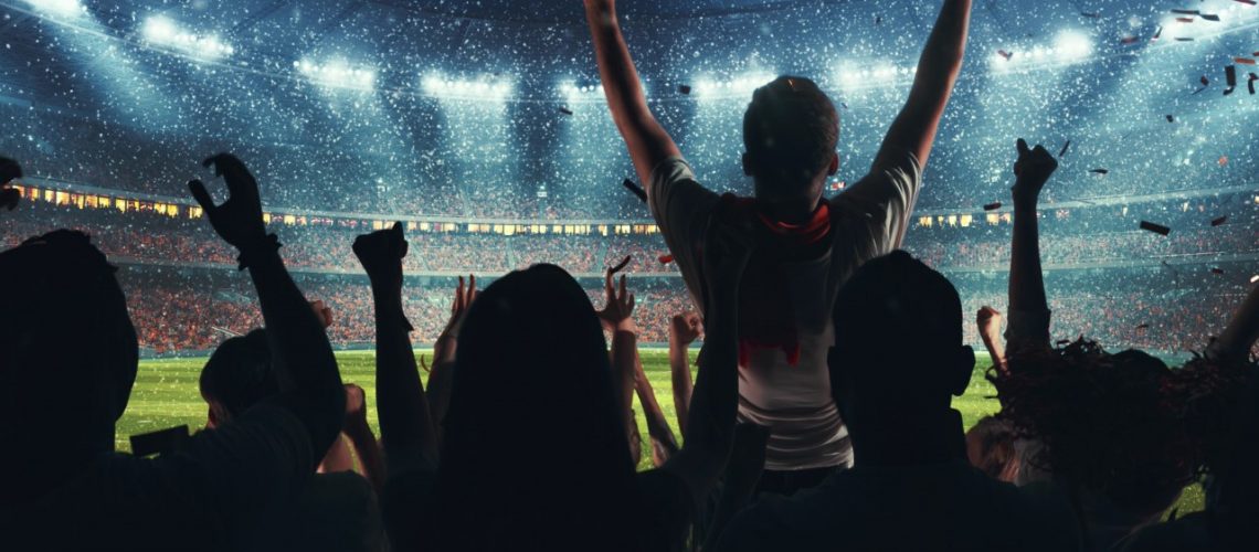 people cheering in a sports stadium